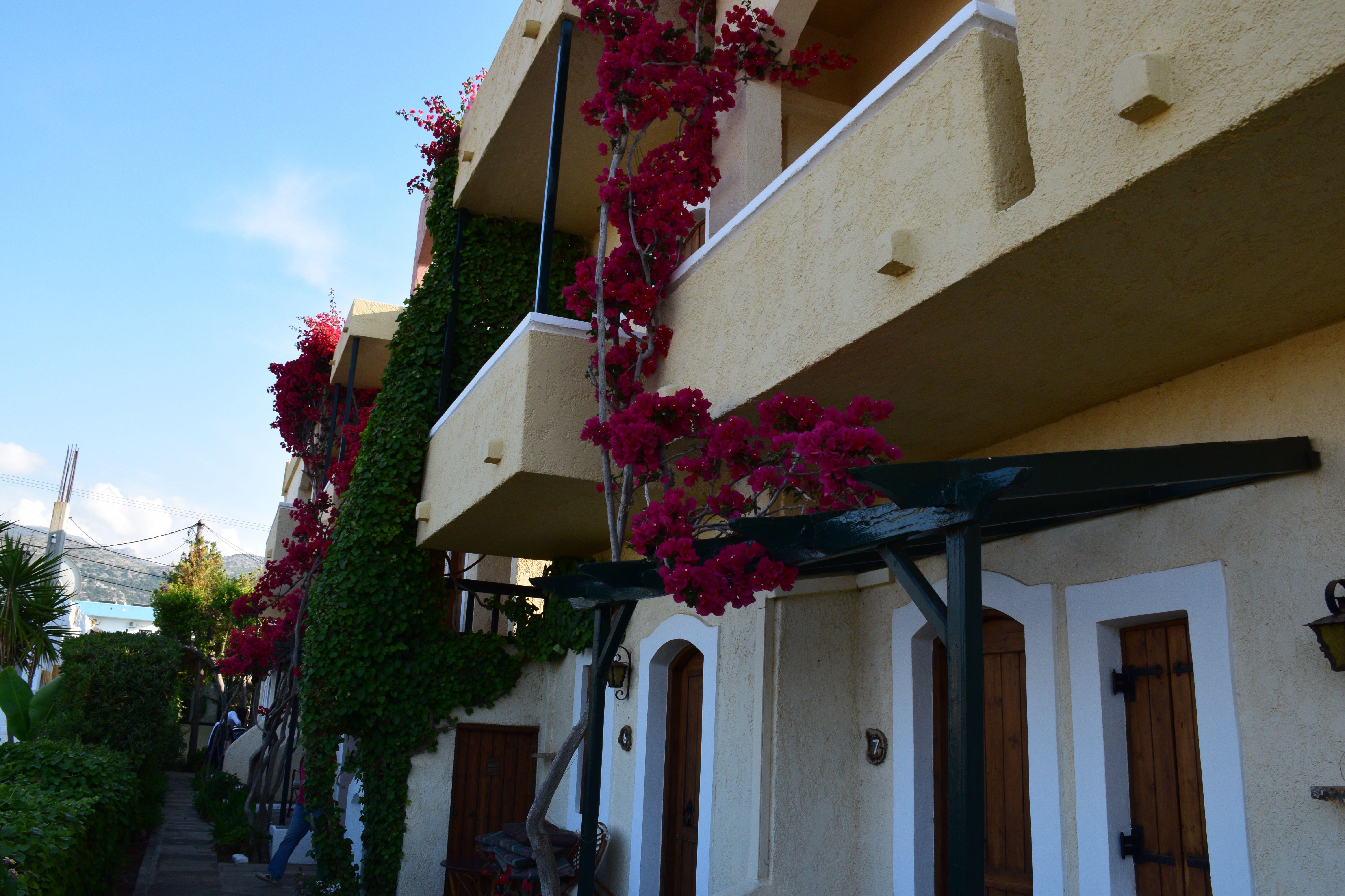 Mila Malia Studios Hotel Exterior photo